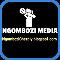 pallaso-ft-chameleone-hana-remix | Ngombozichealy.blogspot.com by Ngombozi Chezaly