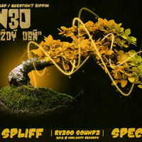 N3O - Každý deň - DJ SPLIFF dubplate (Question? riddim) by N3O