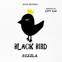 sizzla-think_wise_(black_bird_riddim_by_city_kay) by selekta bosso