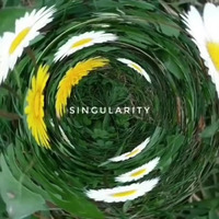 Singularity by Edditter