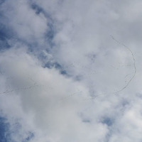 crane flying by Erik Brunne