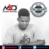 AftaBurn Mixtape #2 - Dj Vin Vicent Mad House Sounds by DjVinVicent