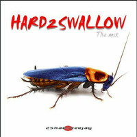 Hard2swallow 2shae::deejay mix by Touche