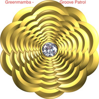 Groove Patrol by Greenmamba1007