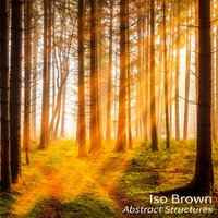 Iso Brown - Light, shapes and shadows in the forest | Chillout Ambient soft mix by iso & ioky