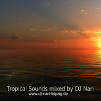 Tropical House Mix Vol.2 by DJ Nari - Music for Everybody
