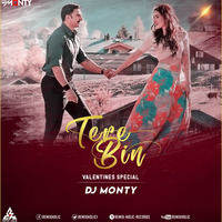 Valentines 2019 Special - Tere Bin Remix DJ Monty  by Chintu Remixes Collection