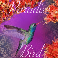 Mehlem Paradise Bird by Mehlem