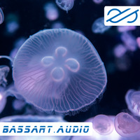 basscast 003 by bassart aka sebastian schmidgen