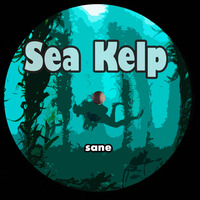 Sea Kelp by sane
