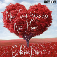 NA TUM JANO NA HUM (Remix) DEBB by Debb Official