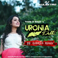 Uroniya Pokhi (Remix) - DJ Aulektro ft Tridib & Nikhil by DJ Aulektro