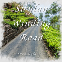 Strylan Winding Road by Steen Rylander