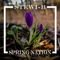 Spring Nation [Free Download] by Stewi-B