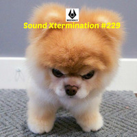 Benny - Sound Xtermination #229 by Benny