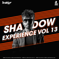 The Shadow Experience 13 - DJ Shadow Dubai by AIDC