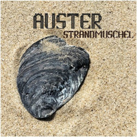 Strandmuschel by Auster Music