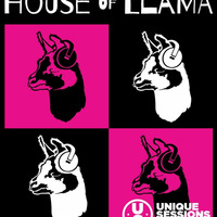 House of Llama 06.03.2019 by Steve
