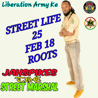 DJ JAHSPIKES STREET LIFE 25 ROOTS FEB 18 by Jahspikes Dj