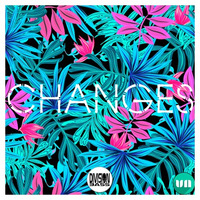 Changes By SVJA by DivisionBass Digital (Label)