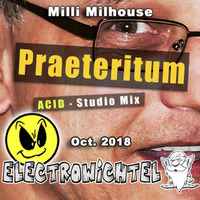 Milli Milhouse - Praeteritum by ELECTROWiCHTEL