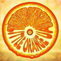 Criminal Tribe Records Exclusive Guest Mix By Little Orange UA For Linda B Breakbeat Show 96.9 ALLFM by Linda B Breakbeat Show