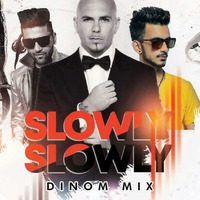 Slowly Slowly - DINOM Mix by DJ DINOM