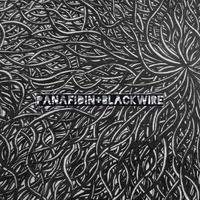 Panafidin - Blackwire [MINI-ALBUM] [2019] by Urban Connections