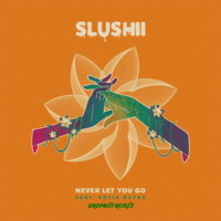 Slushii - Never Let You Go (Dropboy Remix) by DROPBOY