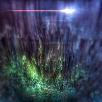 Luminous_Forest-JonasLark-Moth-mix by ID_23