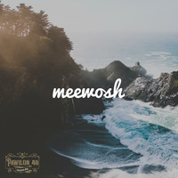 Meewosh pres. Pawilon 48 - 20190304 by Meewosh