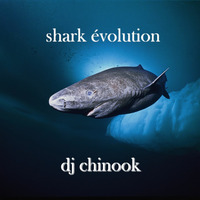 Shark évolution by djchinook