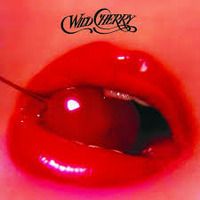 Wild Cherry - Play That Funky Music  by Djreff