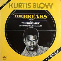 Kurtis Blow - The Breaks (Vocal) by Djreff