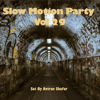 Slow Motion Party Vol 29 by Aviran's Music Place