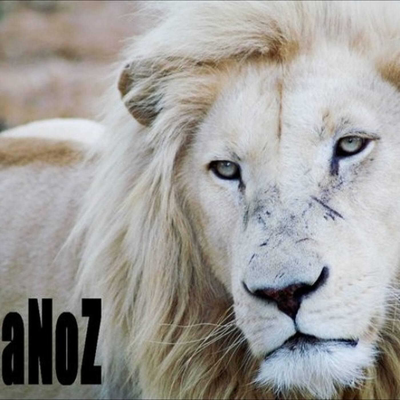 DUBPLATE 2K11 // JaNoZ n' YVAN MESSERLI - Dub Kingz (Take A Ride Version) 2011 episode artwork
