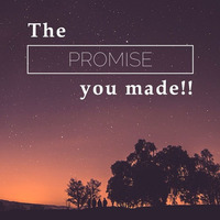 The Promis You made with You tube video by Rudi Lockefeir