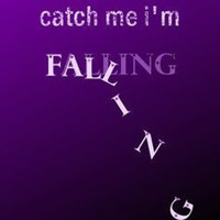 Catch Me I'm Falling by Rudi Lockefeir