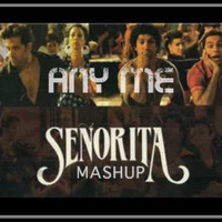 Senorita (Any Me Mashup) - ZMND by Any Me