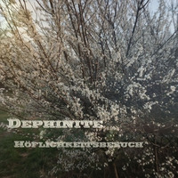 Dephinite - Höflichkeitsbesuch by Rogalist Records