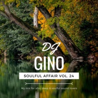 Soulful Affair Vol. 24 by DJGino