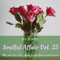 Soulful Affair Vol. 25 by DJGino