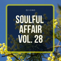 Soulful Affair Vol. 28 by DJGino
