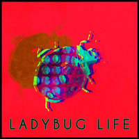 Ladybug Life by Brad Majors