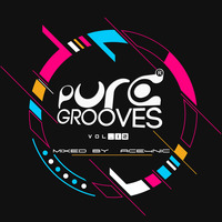 Pure Grooves Vol.12 Mixed By.ACE4NIC [HeavyHittz'19] by Pure Grooves Music SZ