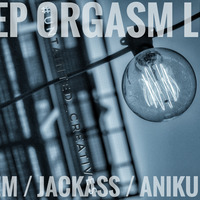 DEEP ORGASM LIVE 57 JACKASS (SOULFUL HOUSE) by DEEP ORGASM LIVE