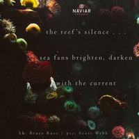 Sea Fans Brighten - Darken With The Current (Naviarhaiku 262) by OneAmbient4