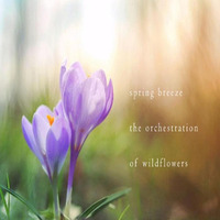 Spring Breeze - The Orchestration Of Wildflowers (Naviarhaiku 267) by OneAmbient4