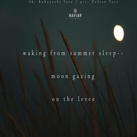 Moon Gazing On The Levee (Naviarhaiku 277) by OneAmbient4