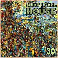 What I Call House Vol.30 by Emre K.